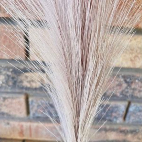 *Pampas Grass Pick, 28”, Bundle of 3 - Picture 5 of 10